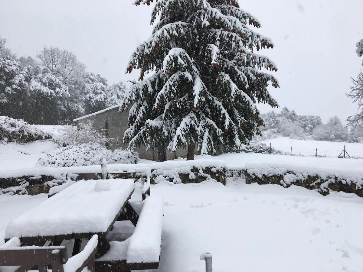 Can Janot Villa Olot 0*,
